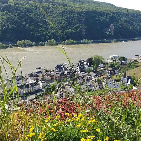 Eismauer Suite Rüdesheim am Rhein Exterior foto