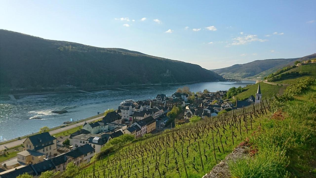 Eismauer Rüdesheim am Rhein